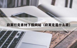 邵东寂寞行走素材下载网站（寂寞走是什么歌）