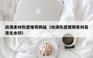 邵东动漫素材伤感推荐网站（动漫伤感视频素材高清无水印）